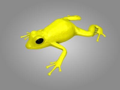 poisen dart frog preview image